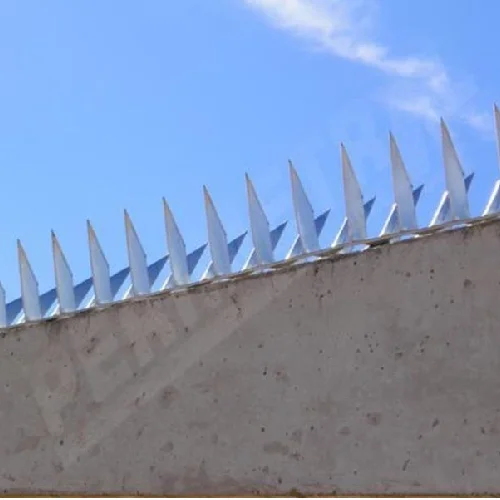 Cerca Concertina e Lança